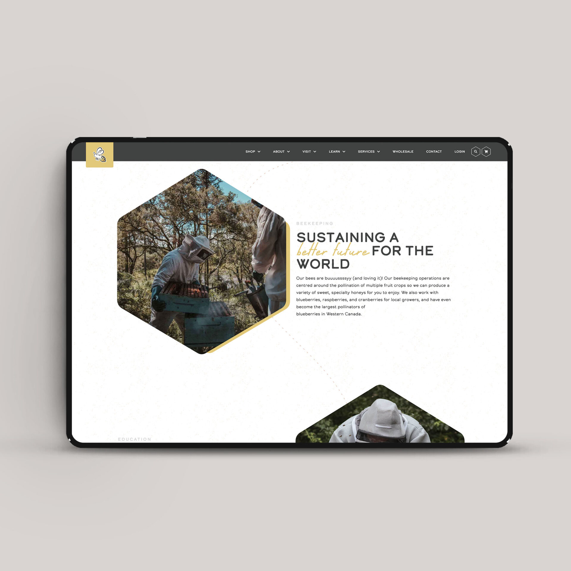 Studiothink Website Redesign