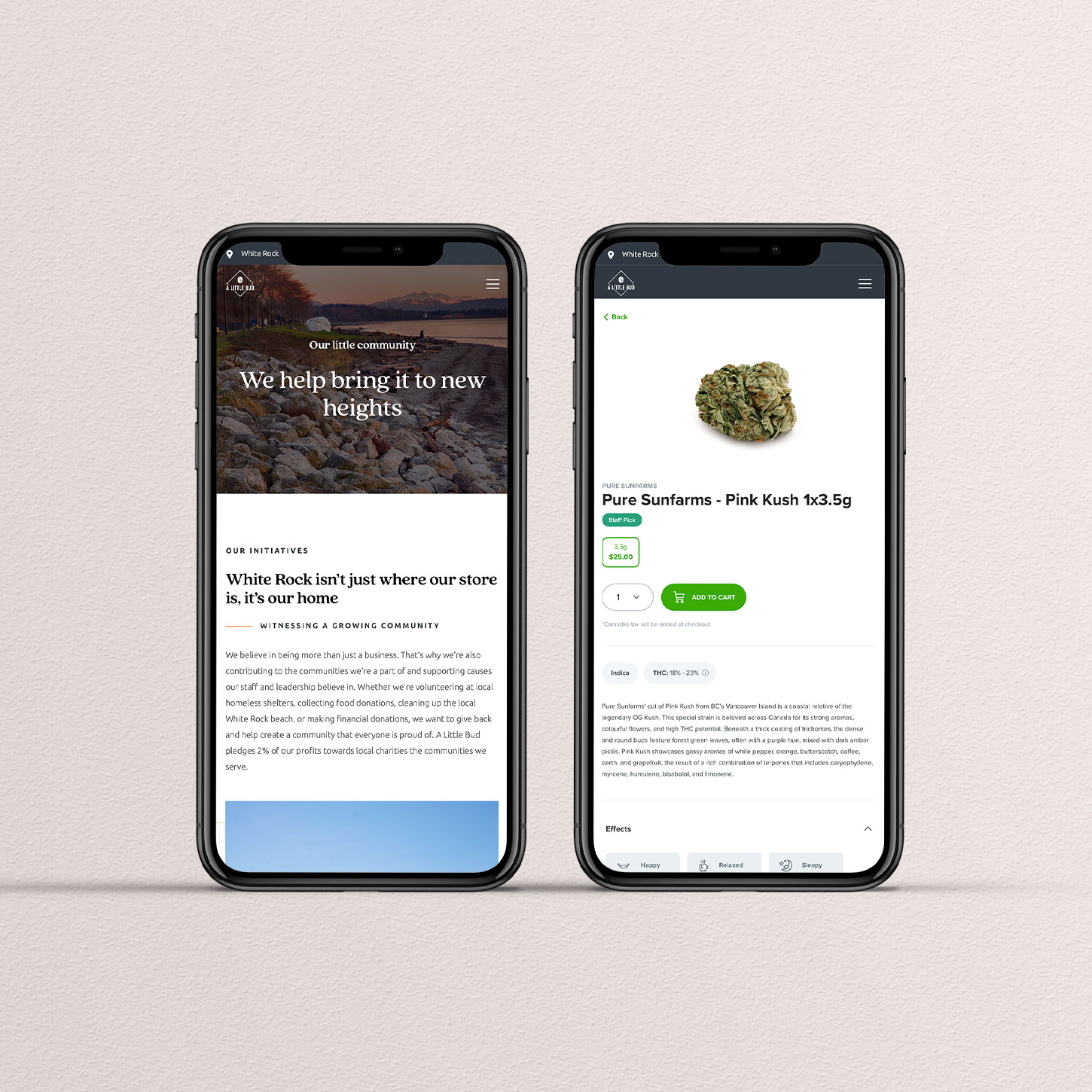 Ecommerce Web Design and Branding for Cannabis
