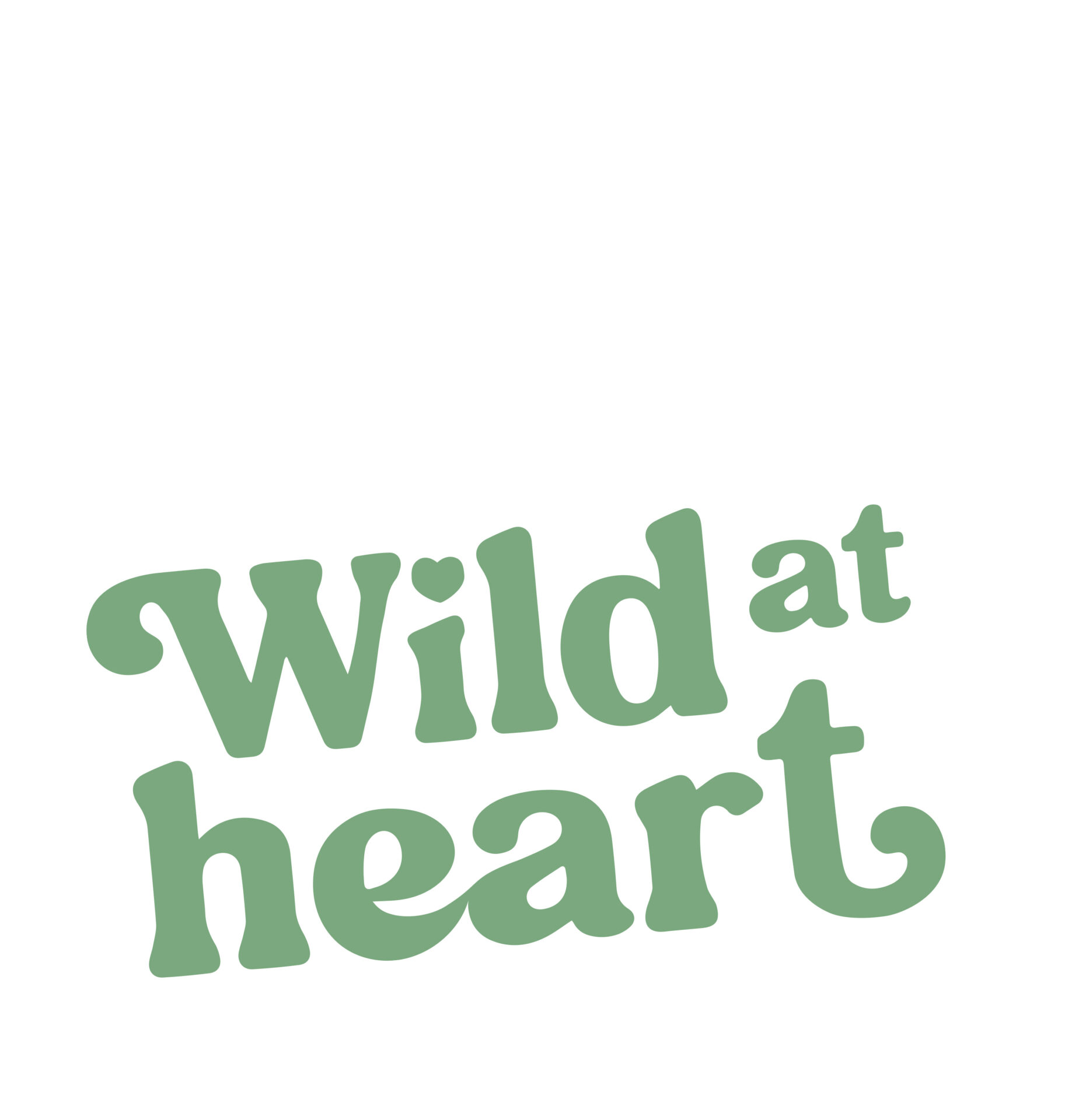 Studiothink Marketing Campaign Whitehorse Design